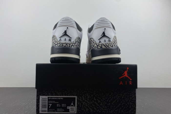 Air Jordan 3 GS “Hide and Sneak”  DX6665-100