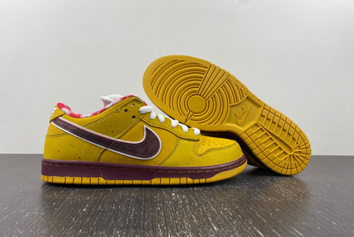 NIke Dunk Low Premium SB 
