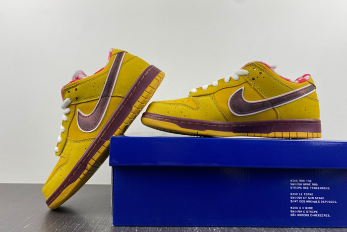 NIke Dunk Low Premium SB 
