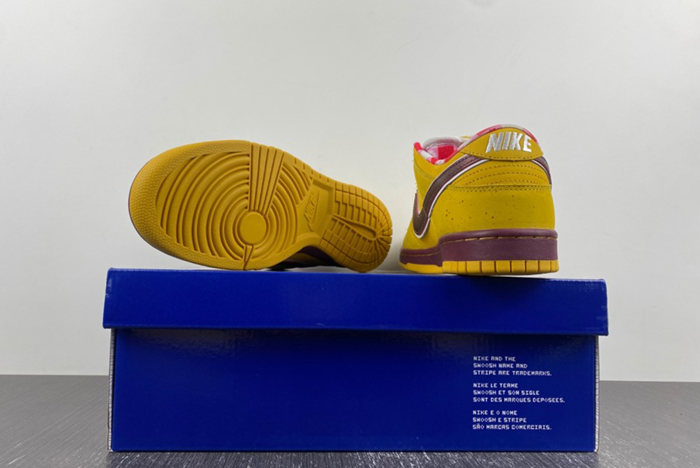 NIke Dunk Low Premium SB 
