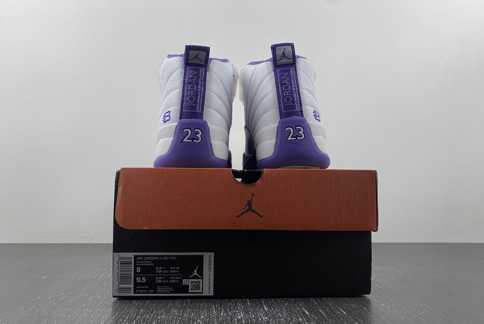 Nike Air Jordan 12  CT8013-150