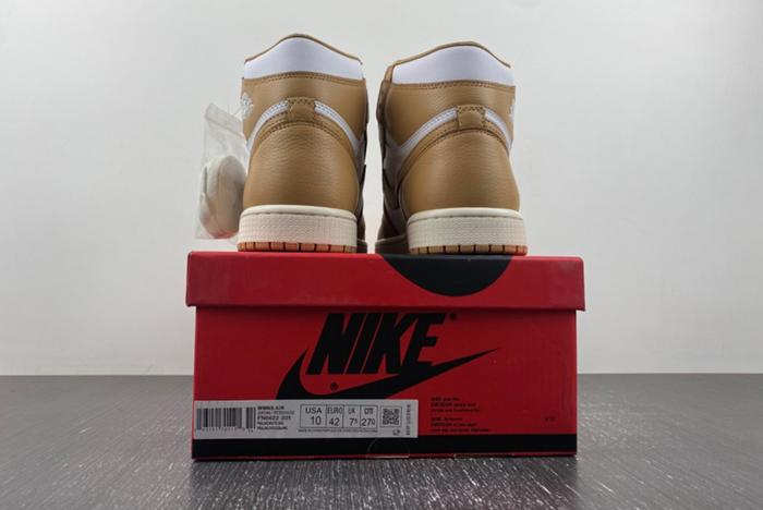 Air Jordan 1 High OG WMNS “Praline”  FN6622-201