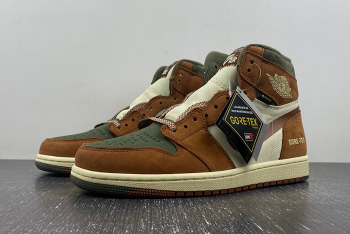 Gore-Tex Jordan 1 High DB2889-100
