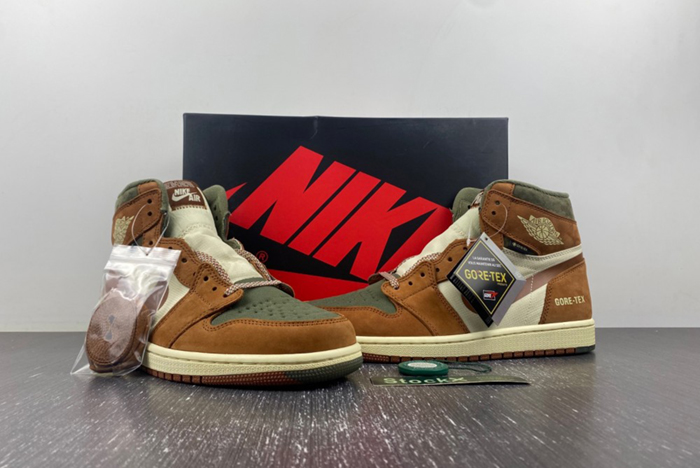 Gore-Tex Jordan 1 High DB2889-100