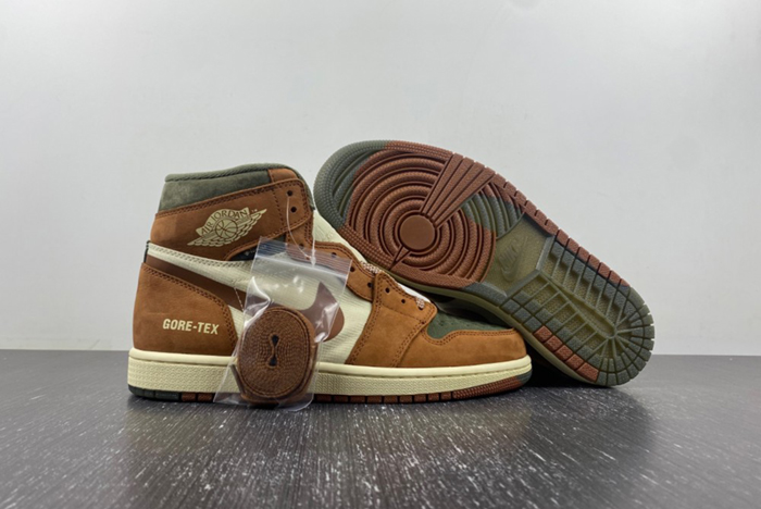 Gore-Tex Jordan 1 High DB2889-100