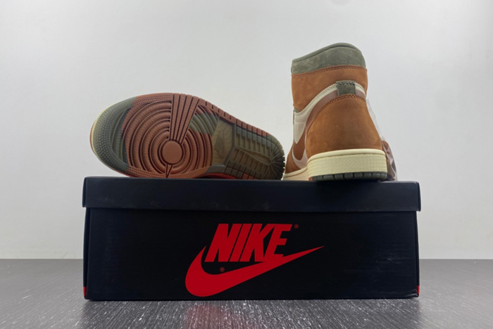 Gore-Tex Jordan 1 High DB2889-100