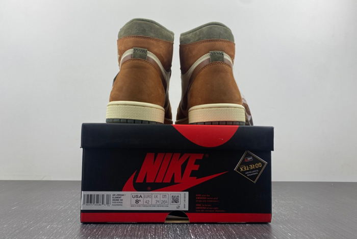 Gore-Tex Jordan 1 High DB2889-100