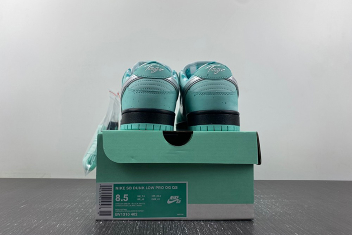 concepts x T*f*ny co. x nike sb dunk low bv1310-402