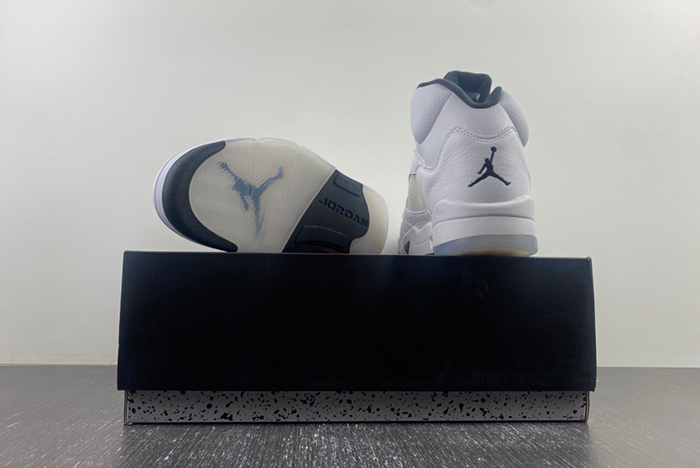 AIR JORDAN AJ7 TOPAZ MIST 442960-104