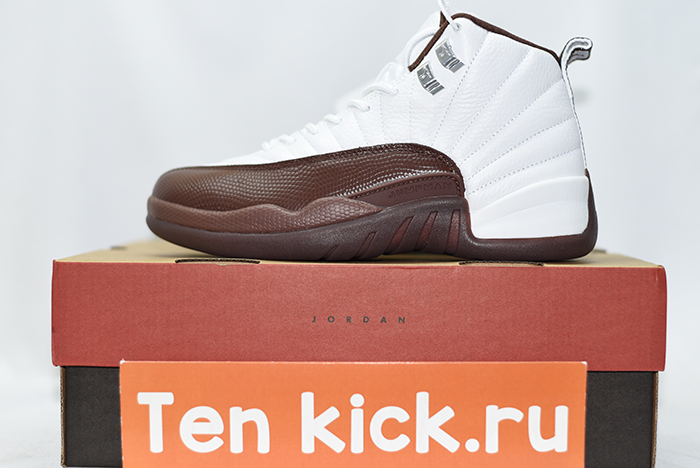 Air Jordan 12 Sole Fly  FZ5026-100