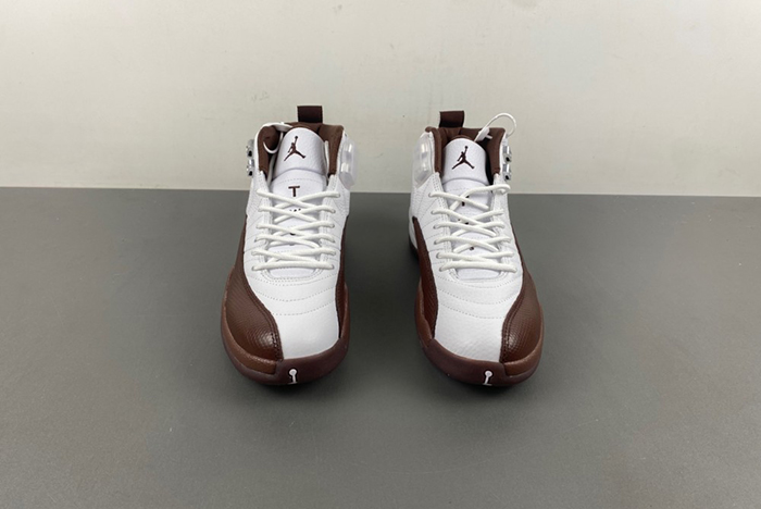 Air Jordan 12 Sole Fly  FZ5026-100