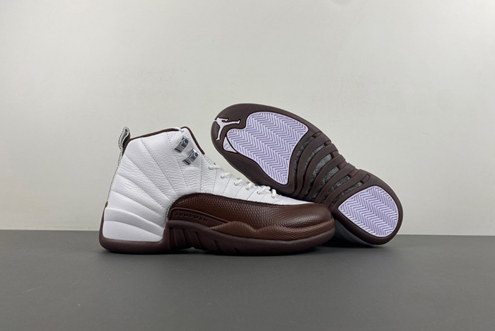 Air Jordan 12 Sole Fly  FZ5026-100