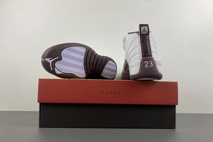Air Jordan 12 Sole Fly  FZ5026-100
