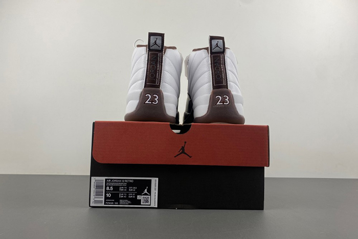 Air Jordan 12 Sole Fly  FZ5026-100